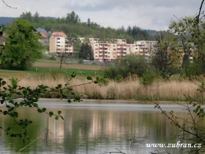 Pohled na sídliště od rybníka