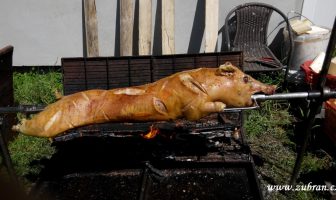 Grilované prase v zahrádce u Aleša