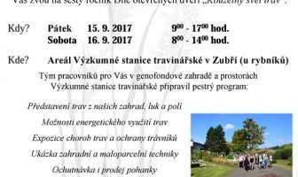 Kouzelný svět trav