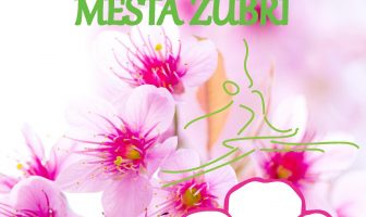 Gymnastika-O POHÁR STAROSTY MĚSTA ZUBŘÍ