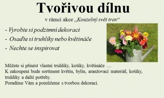 Tvořivá dílna v Osevě