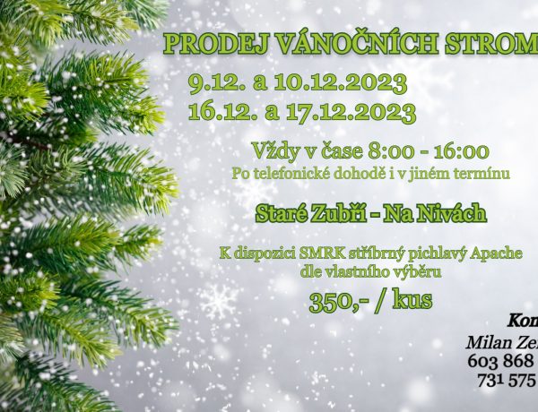 Prodej vánočních stromků