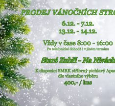 Prodej Vánočních stromečků – Staré Zubří – Na Nivách