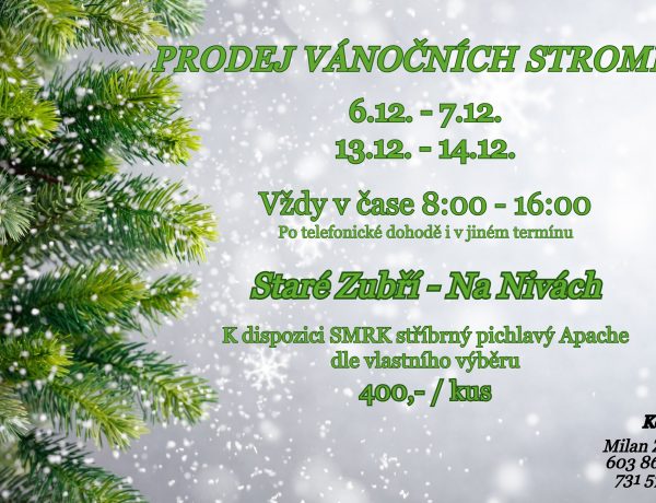 Prodej Vánočních stromečků – Staré Zubří – Na Nivách